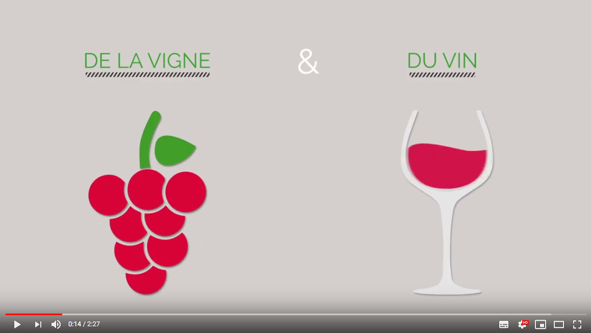 innovation vigne vin