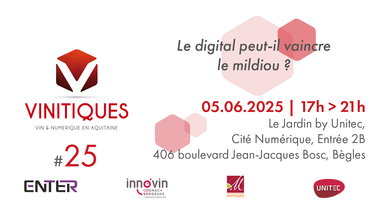 Vinitiques #25